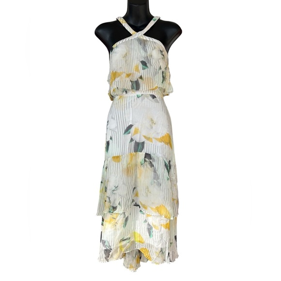 Anthropologie women’s Garden Party Dress Floral Ruffle Size 12 midi preloved - Picture 3 of 14